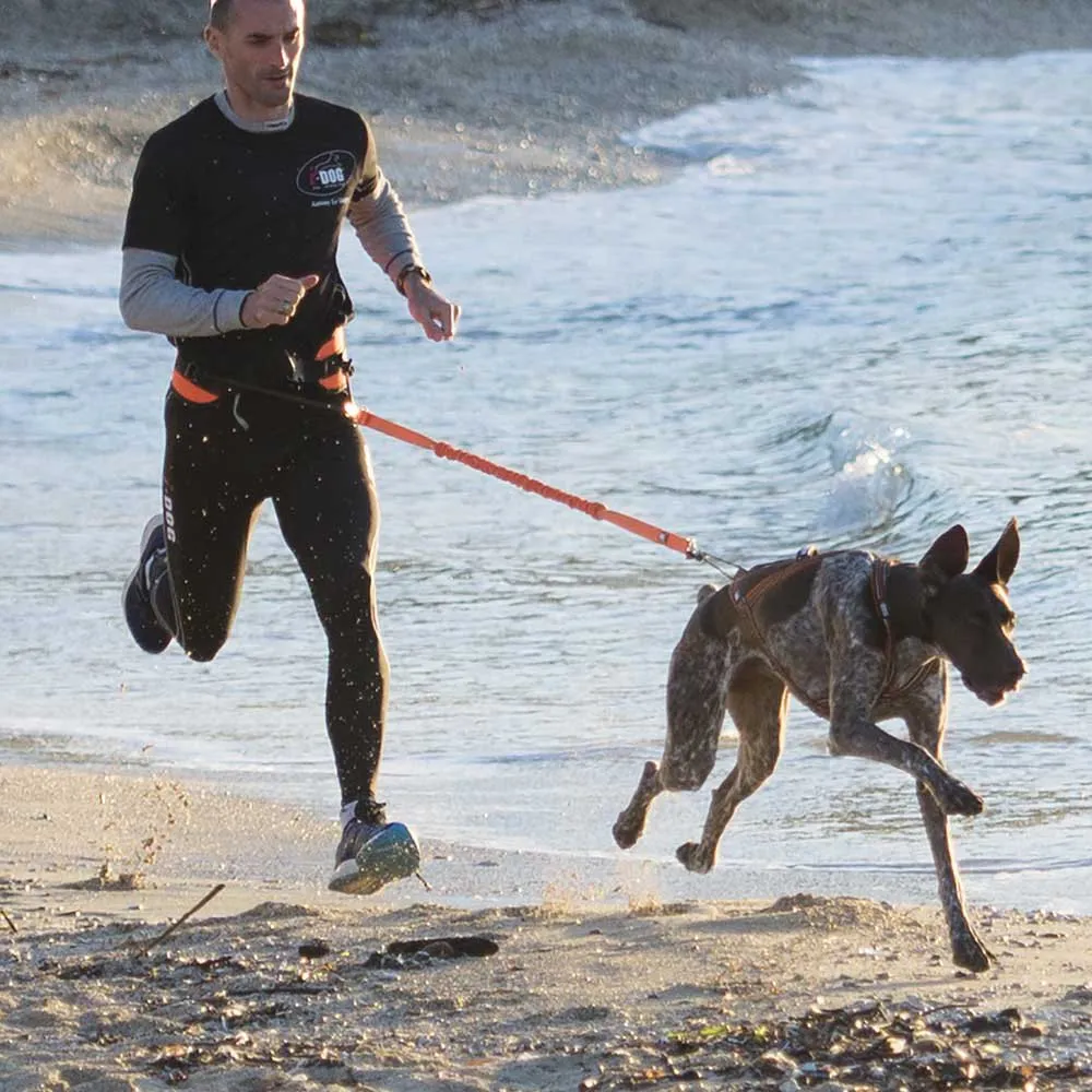 I-dog Harnais Canicross Hundegeschirr
