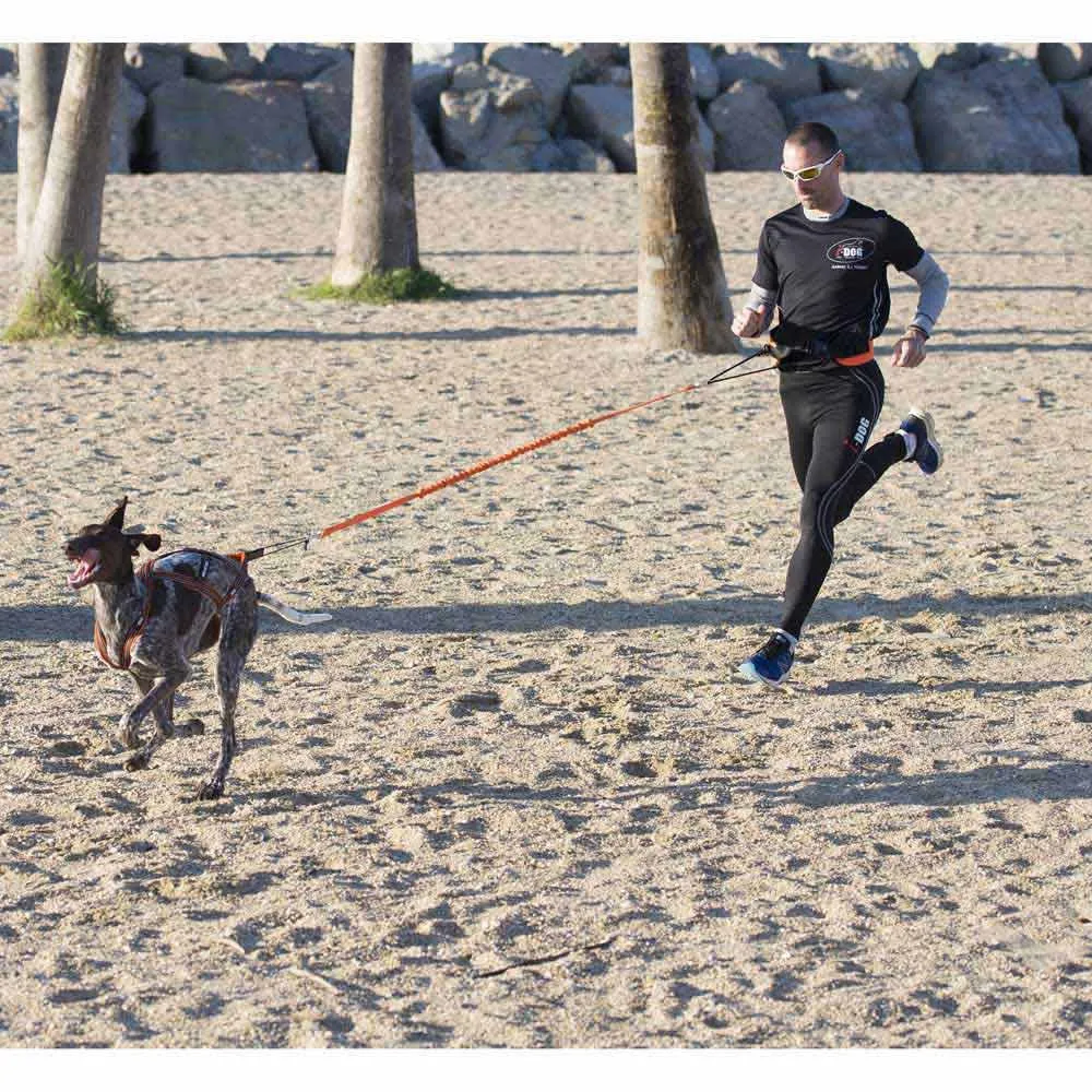 I-dog Harnais Canicross Hundegeschirr