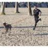 I-dog Harnais Canicross Hundegeschirr
