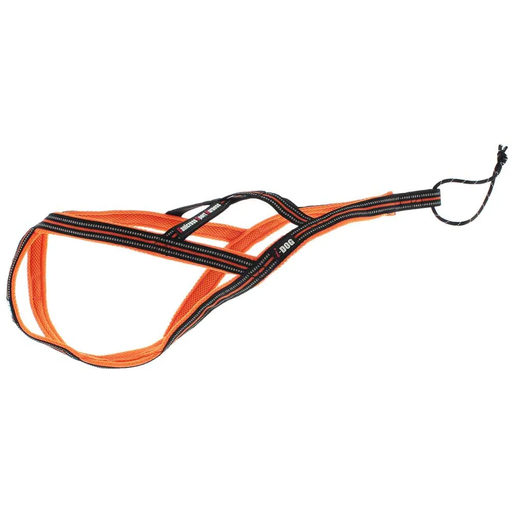 I-dog Harnais Canicross Hundegeschirr Refurbished, Orange, S I-dog Harnais Canicross Hundegeschirr Refurbished, Orange, S