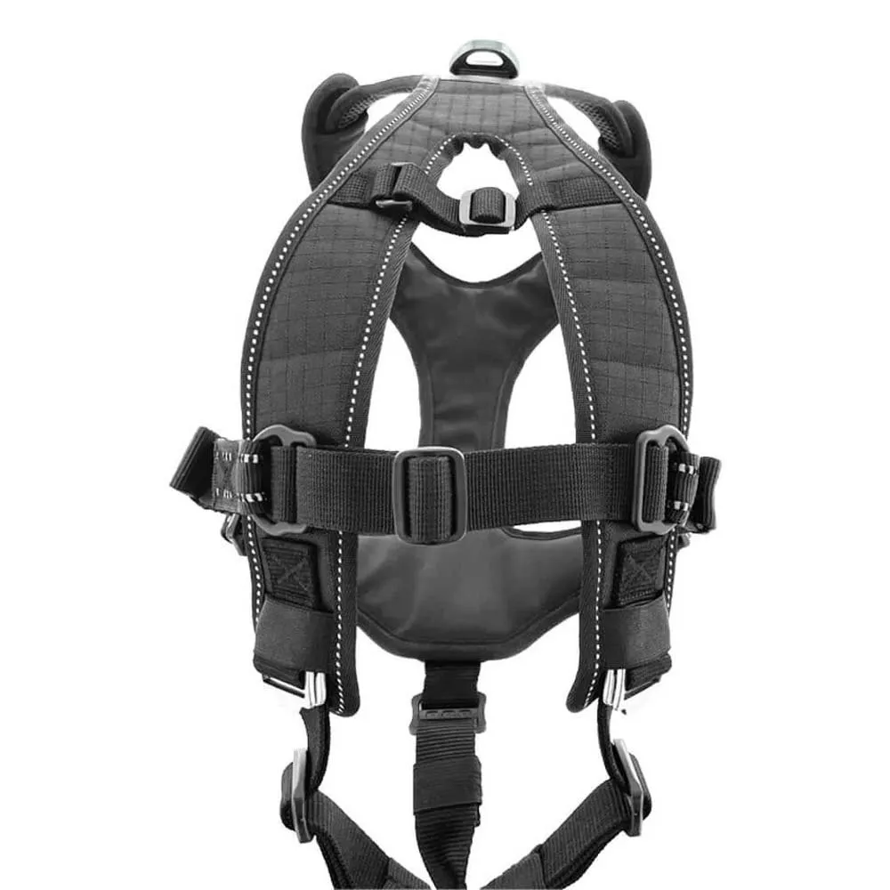 I-dog Raidlight Hundegeschirr I-dog Raidlight Hundegeschirr