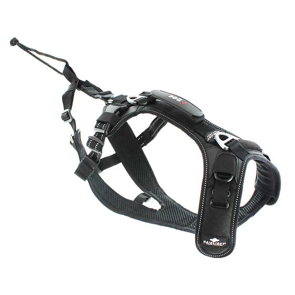 I-dog Raidlight Hundegeschirr I-dog Raidlight Hundegeschirr