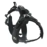 I-dog Raidlight Hundegeschirr