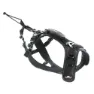 I-dog Raidlight Hundegeschirr