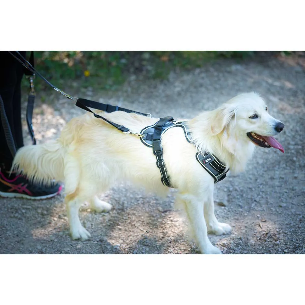 I-dog Style Hundegeschirr I-dog Style Hundegeschirr
