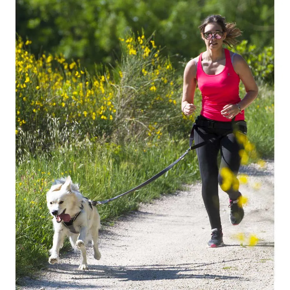 I-dog Style Hundegeschirr I-dog Style Hundegeschirr