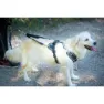 I-dog Style Hundegeschirr