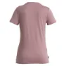 Icebreaker 150 Tech Lite Ii Iceb Logo Camo Merino Kurzarm-t-shirt