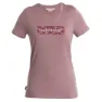 Icebreaker 150 Tech Lite Ii Iceb Logo Camo Merino Kurzarm-t-shirt