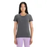 Icebreaker Central Classic Tour Du Mont Blanc Kurzarm-t-shirt, Monsoon
