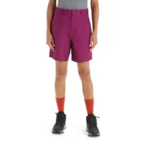 Icebreaker Hike Kurze Hose Icebreaker Hike Kurze Hose