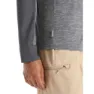 Icebreaker Hike Pullover