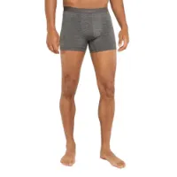 Icebreaker Merino 125 Cool-lite Anatomica Boxershorts Icebreaker Merino 125 Cool-lite Anatomica Boxershorts
