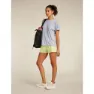 Icebreaker Merino 125 Cool Lite Drayden Reversible Stripe Kurzarm-t-shirt