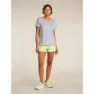 Icebreaker Merino 125 Cool Lite Drayden Reversible Stripe Kurzarm-t-shirt
