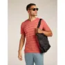 Icebreaker Merino 125 Cool Lite Drayden Stripe Kurzarm-t-shirt