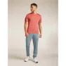 Icebreaker Merino 125 Cool Lite Drayden Stripe Kurzarm-t-shirt