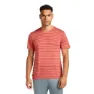 Icebreaker Merino 125 Cool Lite Drayden Stripe Kurzarm-t-shirt
