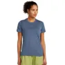 Icebreaker Merino 125 Cool Lite Speed Kurzarm-t-shirt female