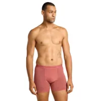 Icebreaker Merino 150 Anatomica Boxershorts