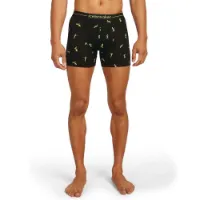 Icebreaker Merino 150 Anatomica Snow Day Boxershorts