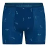 Icebreaker Merino 150 Anatomica Snow Day Boxershorts