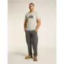 Icebreaker Merino 150 Tech Lite Catch Me Outs Kurzarm-t-shirt, Ashen