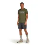 Icebreaker Merino 150 Tech Lite Highland Kurzarm-t-shirt