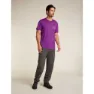 Icebreaker Merino 150 Tech Lite Hike Natural Kurzarm-t-shirt