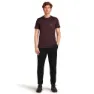 Icebreaker Merino 150 Tech Lite Hike Naturally Kurzarm-t-shirt