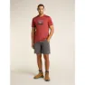 Icebreaker Merino 150 Tech Lite Hike Together Kurzarm-t-shirt