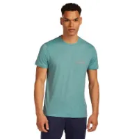 Icebreaker Merino 150 Tech Lite Ib Wordmark Kurzarm-t-shirt