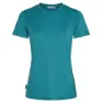 Icebreaker Merino 150 Tech Lite Kurzarm-t-shirt