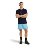 Icebreaker Merino 150 Tech Lite Lancewood Kurzarm-t-shirt