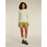 Icebreaker Merino 150 Tech Lite Langarm-t-shirt