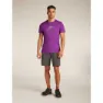 Icebreaker Merino 150 Tech Lite Rising Light Kurzarm-t-shirt