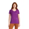 Icebreaker Merino 150 Tech Lite Scoop Panax Kurzarm-t-shirt