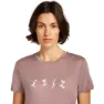 Icebreaker Merino 150 Tech Lite Snow Day Kurzarm-t-shirt