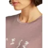Icebreaker Merino 150 Tech Lite Snow Day Kurzarm-t-shirt