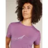 Icebreaker Merino 150 Tech Lite South Constellation Kurzarm-t-shirt