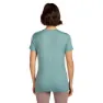 Icebreaker Merino 150 Tech Lite Terrain Kurzarm-t-shirt