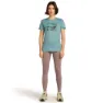Icebreaker Merino 150 Tech Lite Terrain Kurzarm-t-shirt
