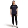 Icebreaker Merino 150 Tech Lite The Peaks Kurzarm-t-shirt