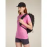 Icebreaker Merino 150 Tech Lite Van Camp Kurzarm-t-shirt