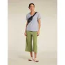 Icebreaker Merino 200 Granary Hosen