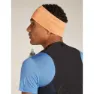 Icebreaker Merino 200 Oasis Stirnband male