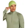 Icebreaker Merino 260 Quantum Mütze, Peridot