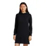 Icebreaker Merino Blend 200 Crush Kleid
