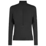 Icebreaker Merino Blend 200 Realfleece™ Descender Halbreißverschluss-sweatshirt male