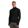 Icebreaker Merino Blend 300 Realfleece™ Descender Reißverschlusspullover